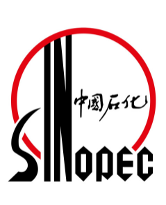 案例展示